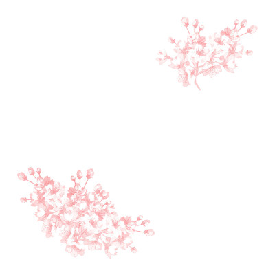 樱花装饰