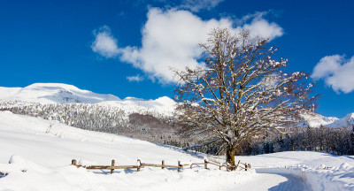 雪后的高山美景