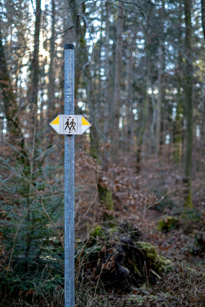 森林里徒步旅行者的路标