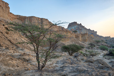 伊朗南部霍尔木兹海峡的Qeshm岛，摄于2019年1月，摄于hdr
