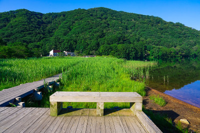 县哈鲁纳公园(群马县高崎市)，一条通往哈鲁纳湖岸边的木道