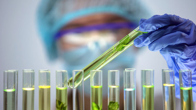 生物学家在试管中检测植物样本，农药影响农业