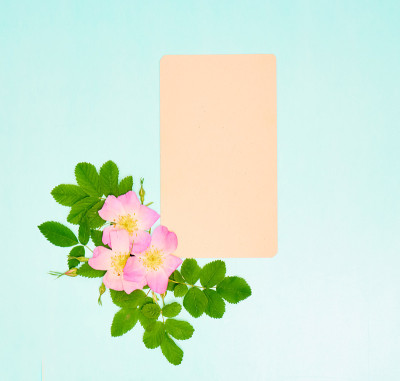 纸和花