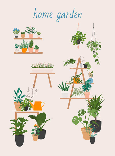 花园，鲜花和植物在家里和室外。盆栽植物集向量。室内家庭，办公室现代风格的室内植物。