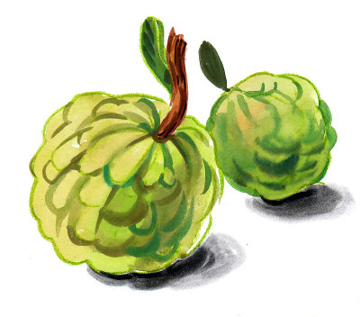 番荔枝