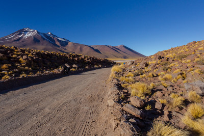 通往泻湖的道路景观与火山在拉古纳米斯坎蒂和Miñiques火山的背景。位于智利阿塔卡马沙漠的弗拉门戈