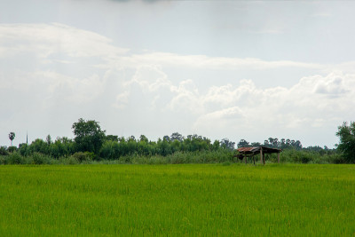 农村