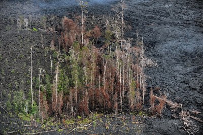 夏威夷大岛上的火山熔岩。