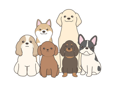 狗的矢量图。看着摄像机。