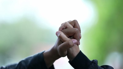 近距离携手合力，支持多元化理念