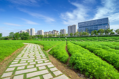 福州城市,中国