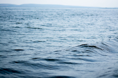 海