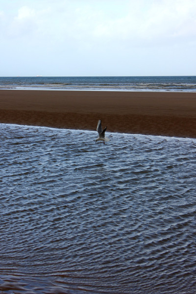 诺曼底登陆海滩