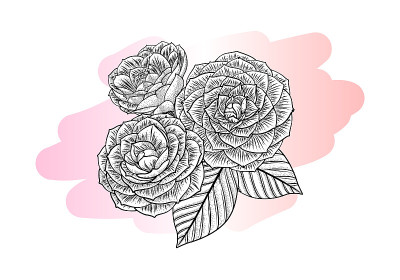 Color and black graphic drawing - flowers and leav