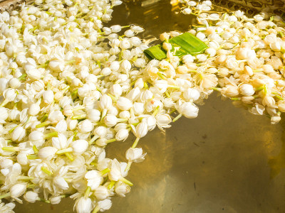 茉莉花浮圣水，泰式勺。