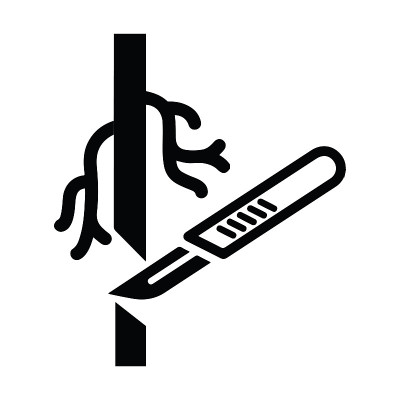 医疗保健或血管外科图标