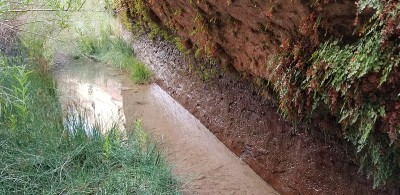 天然泉水从砂岩渗出，在杨木峡谷，格伦峡谷国家休闲区，犹他州