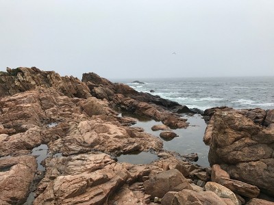 海景和海滩