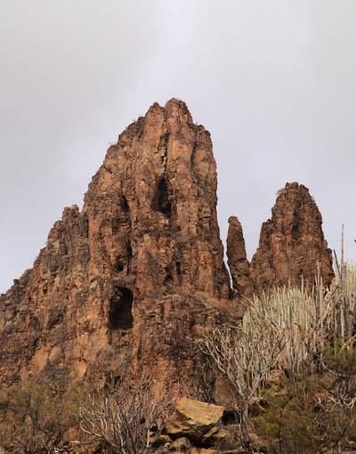 大卡纳里亚岛，沿着ravive Barranco Hondo的徒步旅行路线，岛屿南部的深峡谷，充满了