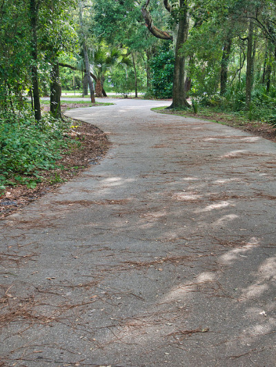花园里的小路