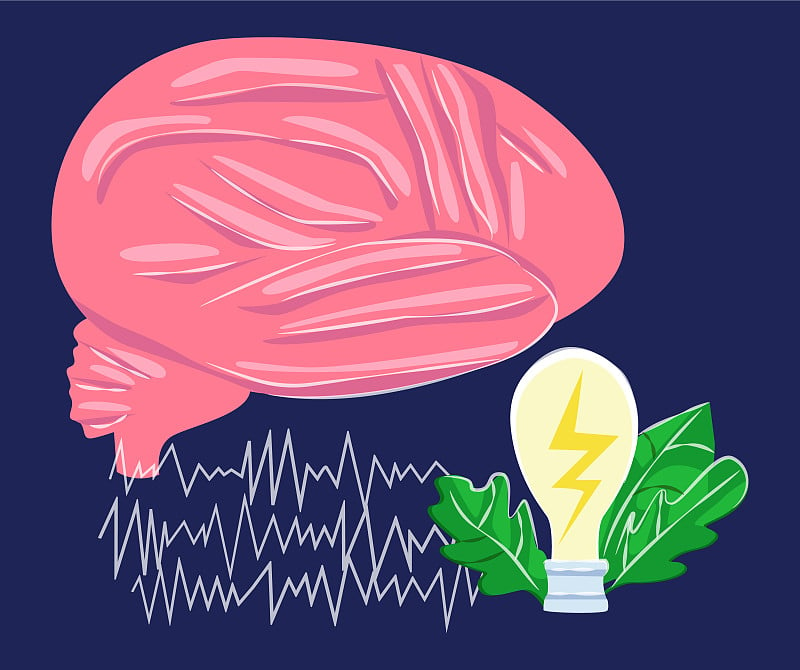 神经学、科学研究中的概念发现。