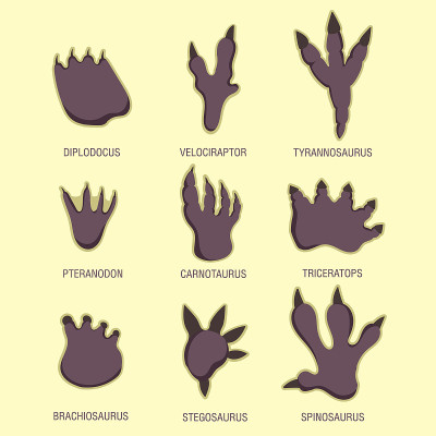 Educational set for children footprints of dinosau