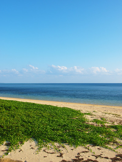 冲绳县Iriomote岛的风景