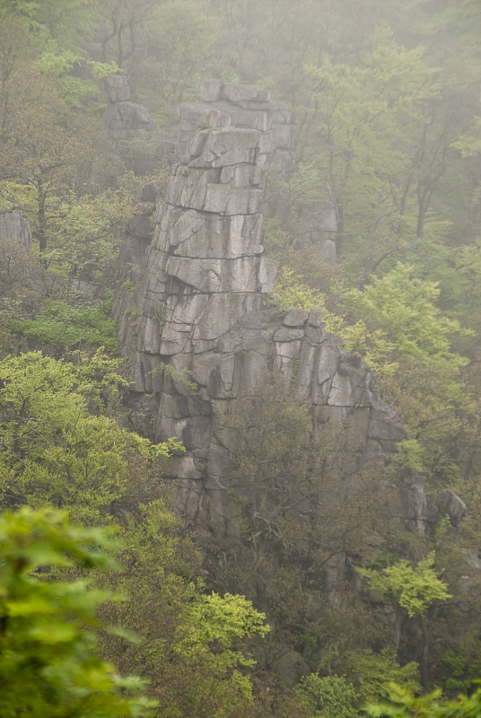 女巫舞池，哈尔茨山，德国