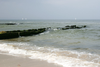 海