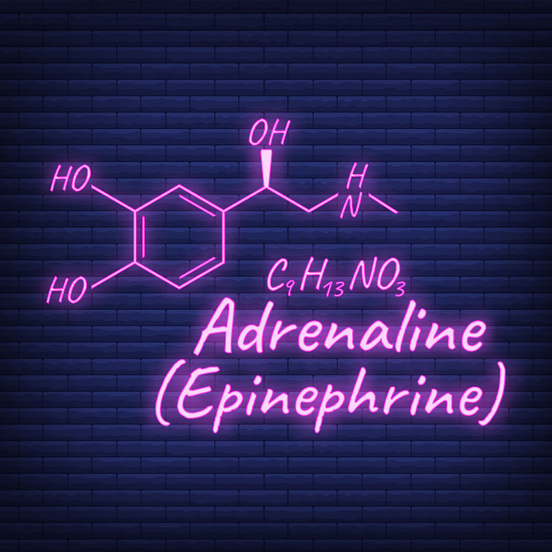 人体荷尔蒙肾上腺素，肾上腺素元素概念化学骨骼公式图标标签，文字霓虹辉光矢量插图，孤立于黑色。