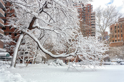 纽约——下雪的下东区