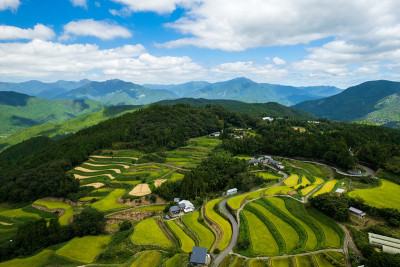 日本高知县美丽的梯田