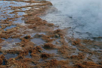 El Tatio间歇泉，智利
