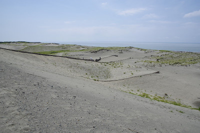 沙丘