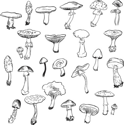 一组线性绘图蘑菇
