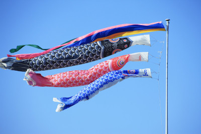 鲤鱼等浮电缆