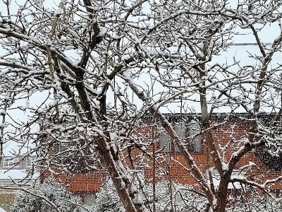 在伦敦的降雪。