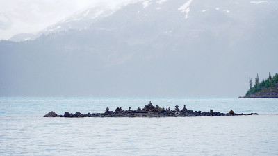 森林景观徒步到加里波第湖全景山脊附近加里波第湖附近的斯夸米什和惠斯勒在加拿大东部不列颠哥伦比亚省。