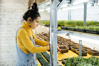 年轻的女农民在她的农场种植微型蔬菜。