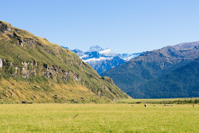 风景如画的风景