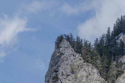 落基山脉和树木