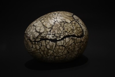 Cracked Dragon Egg on Black Background.