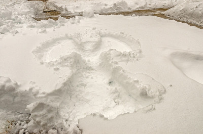 成年雪的天使