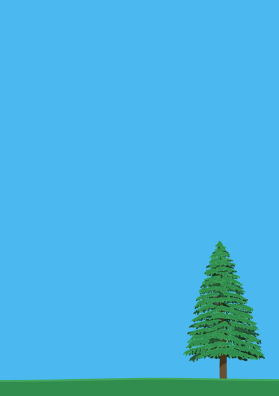 松树和天空。夏天。