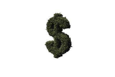 用树叶做成的美元符号