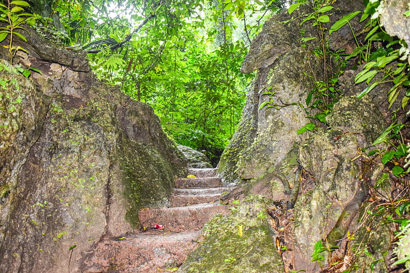 安达曼尼科巴岛的冒险之旅