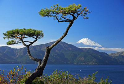 箱根附近的富士山