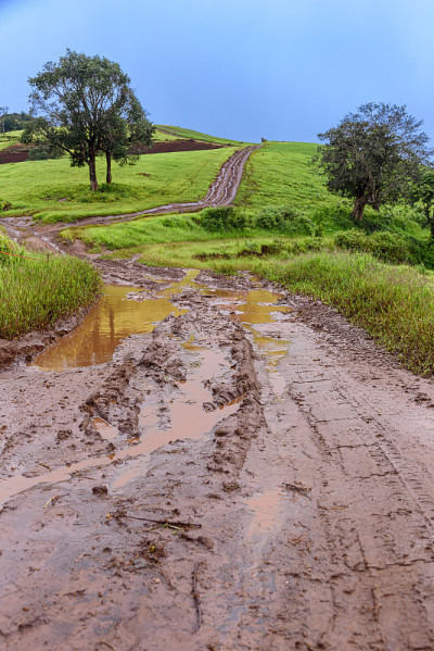 乡间泥泞道路上的轮胎印