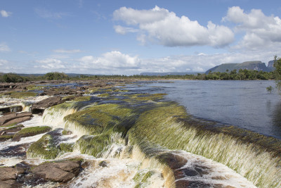 Canaima