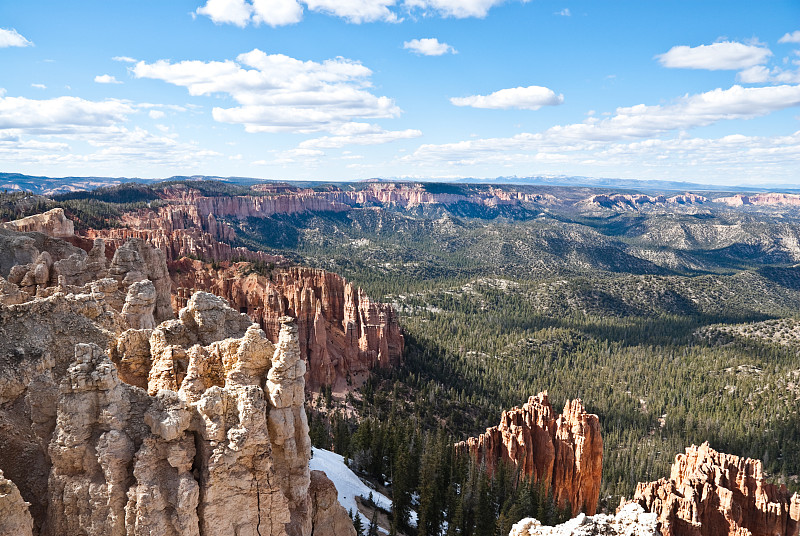 白色，红色hoodoo和森林峡谷